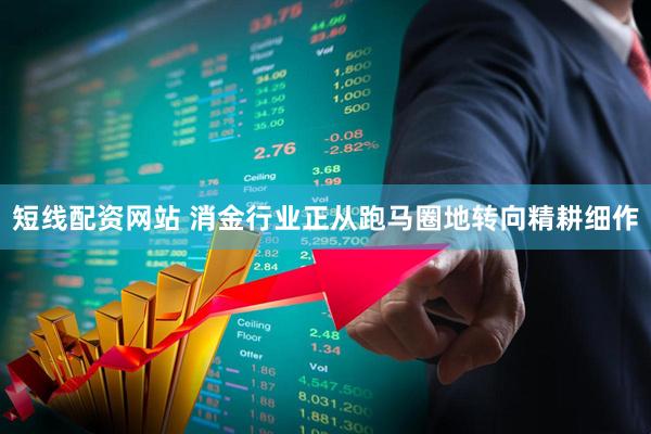 短线配资网站 消金行业正从跑马圈地转向精耕细作