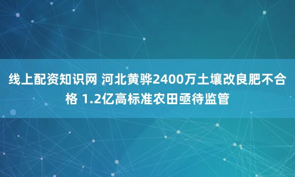 线上配资知识网 河北黄骅2400万土壤改良肥不合格 1.2亿高标准农田亟待监管