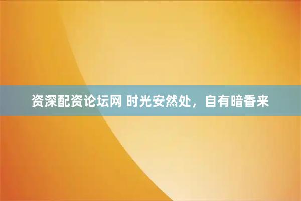 资深配资论坛网 时光安然处，自有暗香来