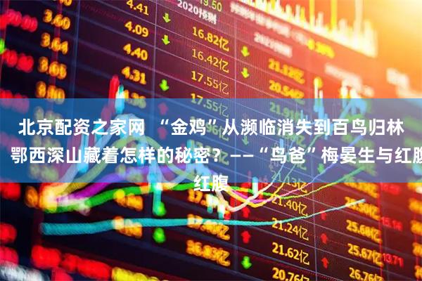 北京配资之家网  “金鸡”从濒临消失到百鸟归林，鄂西深山藏着怎样的秘密？——“鸟爸”梅晏生与红腹